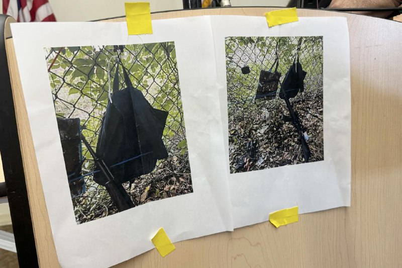 美国前总统特朗普15日遭遇疑似“暗杀未遂”