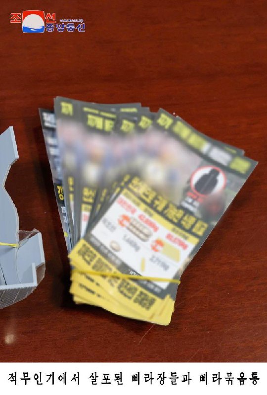 朝鲜劳动党副部长金与正12日发表谈话称，若在平壤上空再次发现无人机将予以报复