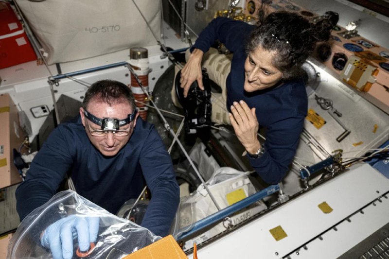 美国航天局24日宣布，决定让滞留在国际空间站的两名美国宇航员2025年2月改乘SpaceX的“龙”飞船返回地球